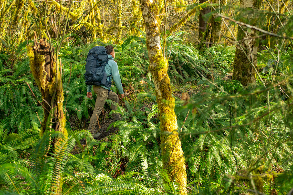 Arc'teryx Atom SL Hoody (hiking in dense rainforest)